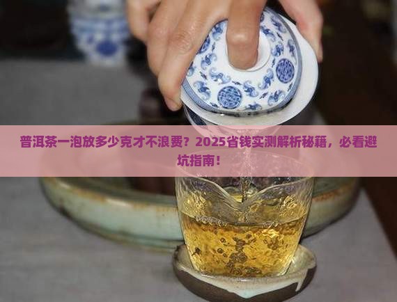 普洱茶放几克一泡