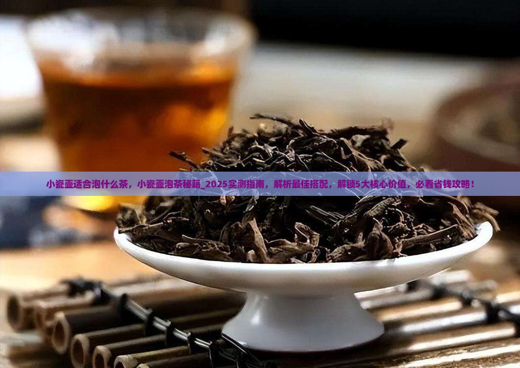 小瓷壶适合泡什么茶