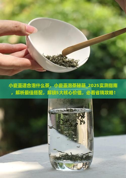 小瓷壶适合泡什么茶