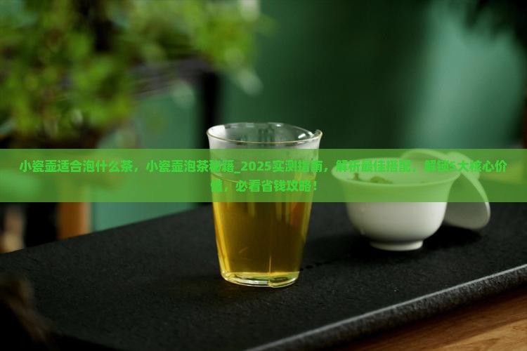 小瓷壶适合泡什么茶