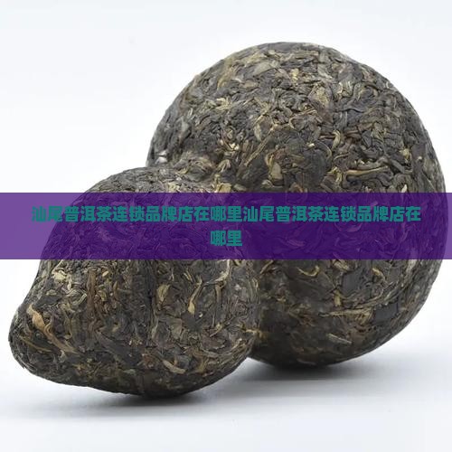 汕尾普洱茶连锁品牌店在哪里