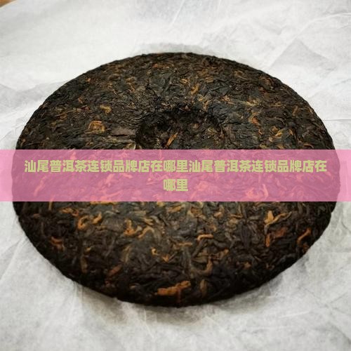 汕尾普洱茶连锁品牌店在哪里