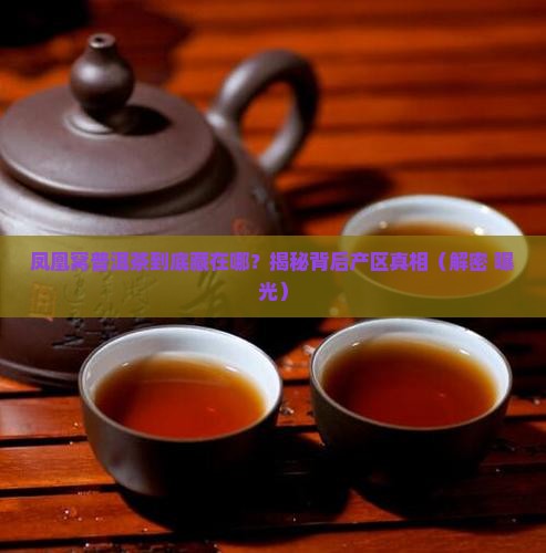 凤凰窝普洱茶属于什么产区