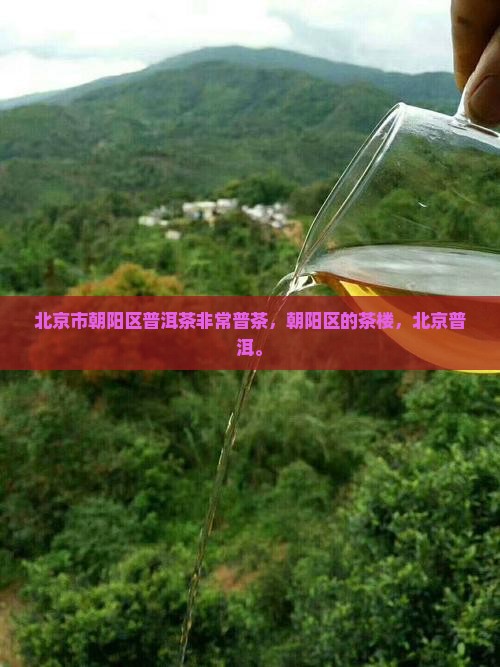 北京朝阳区普洱茶