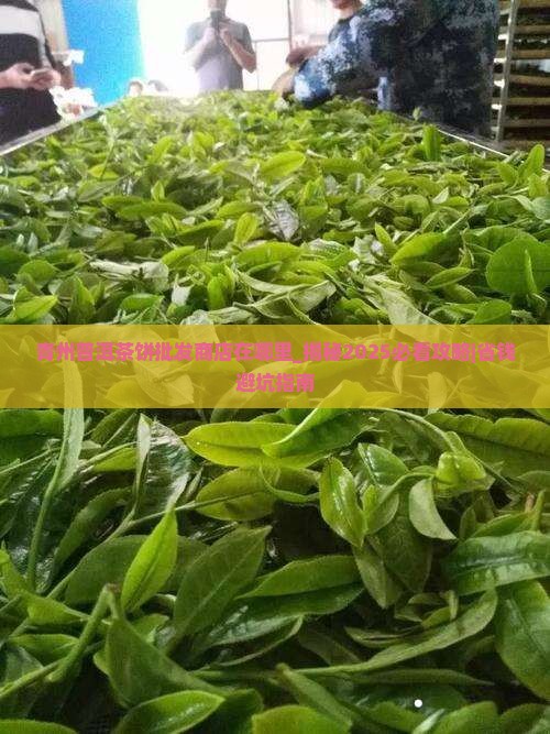 青州普洱茶饼批发商店在哪里