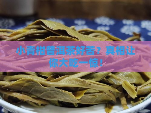 小青柑普洱茶好苦