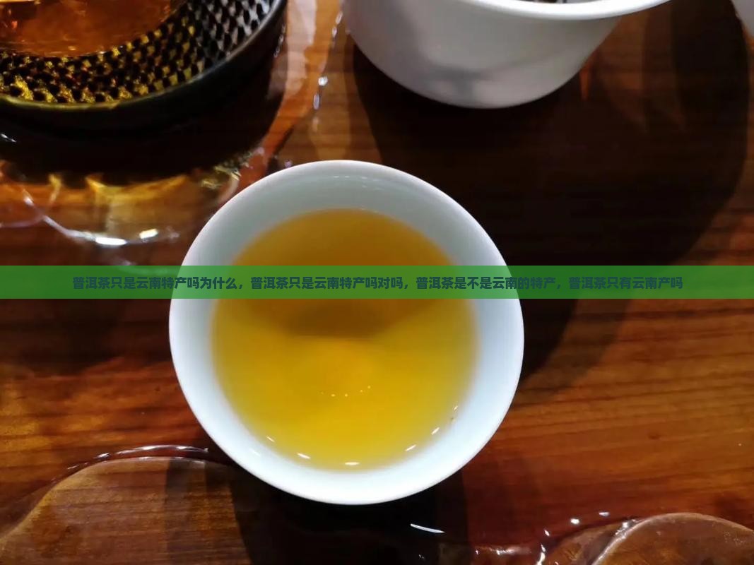 普洱茶只是云南特产吗