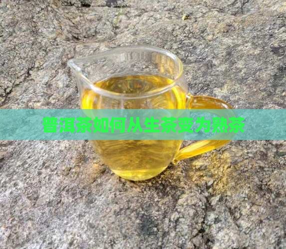 普洱茶如何变熟