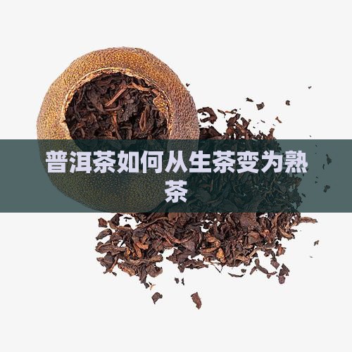 普洱茶如何变熟