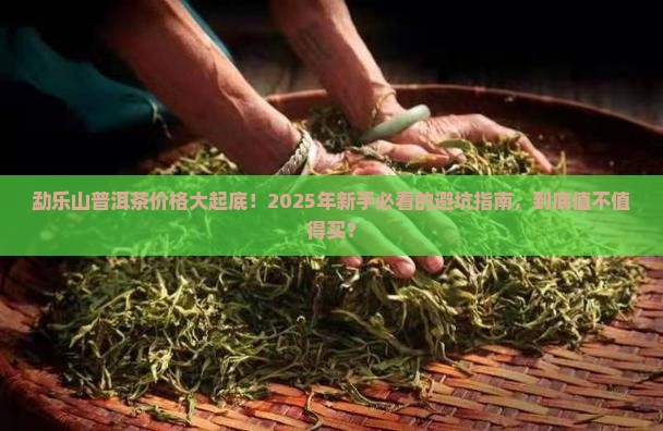 勐乐山普洱茶有限公司价格