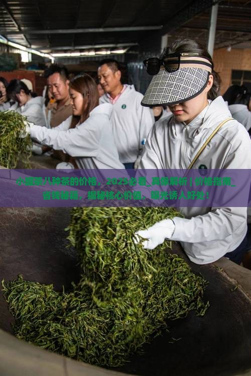 小罐茶八种茶的价格