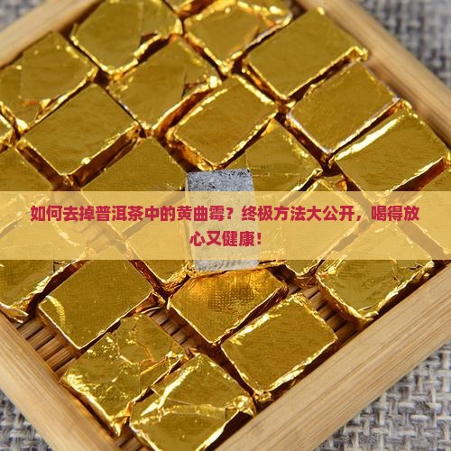 如何去掉普洱茶中的黄曲霉