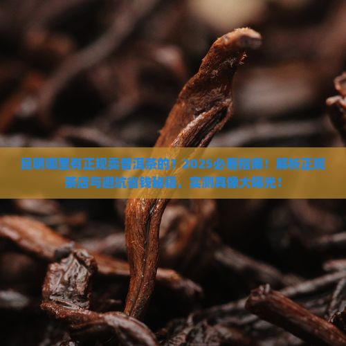 昆明哪里有正规卖普洱茶的