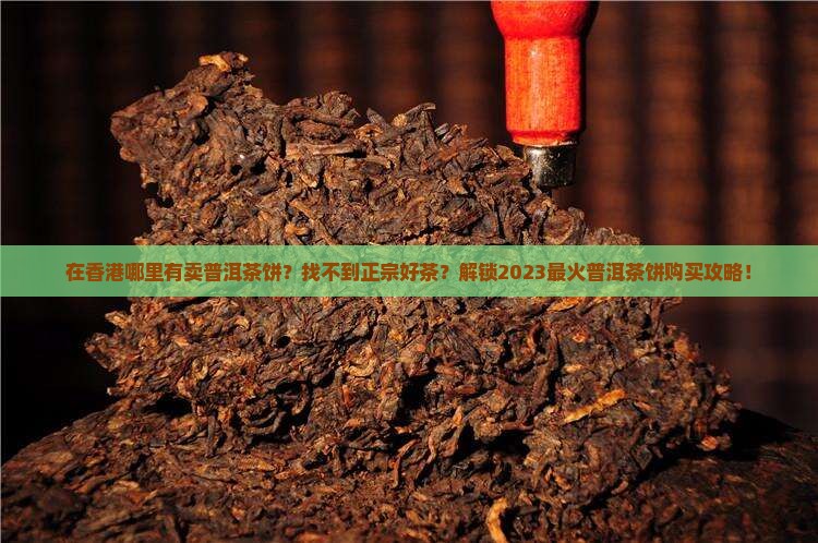 在香港哪里有卖普洱茶饼