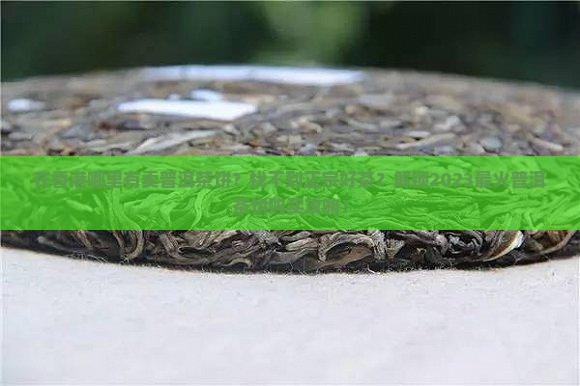 在香港哪里有卖普洱茶饼