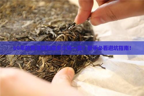 60年的普洱茶多少钱一盒
