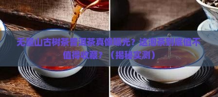 无量山古树茶普洱茶典藏珍品