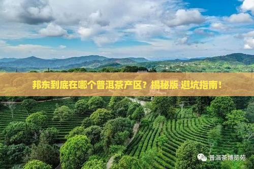 邦东在哪个普洱茶产区