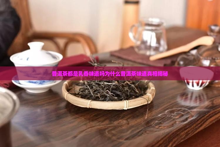 普洱茶都是乳香味道吗为什么