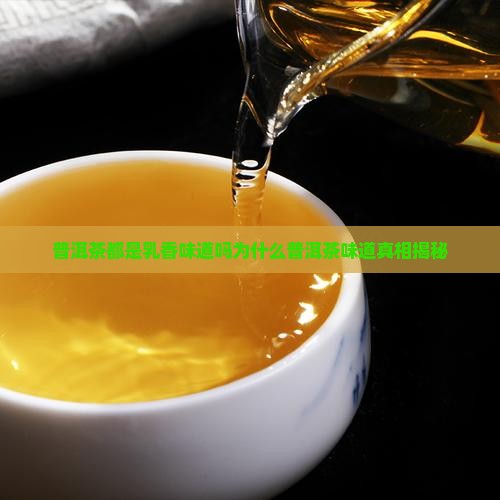 普洱茶都是乳香味道吗为什么