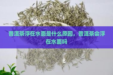 普洱茶浮在水面