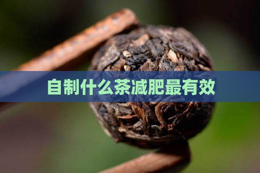 自制什么茶减肥最有效
