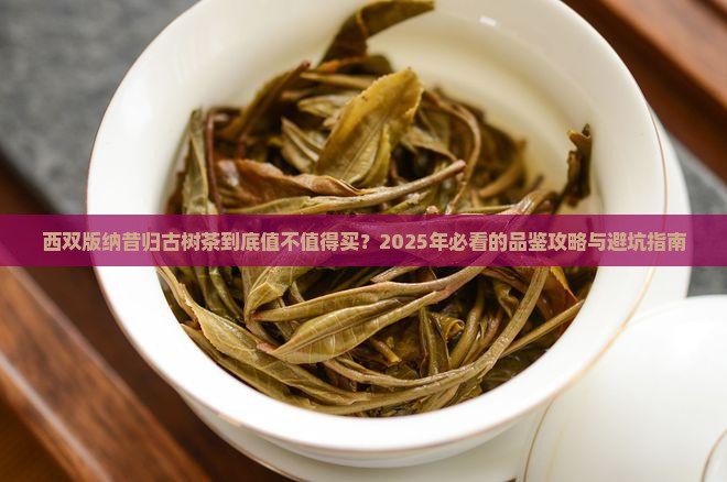 西双版纳昔归古树茶
