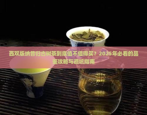 西双版纳昔归古树茶