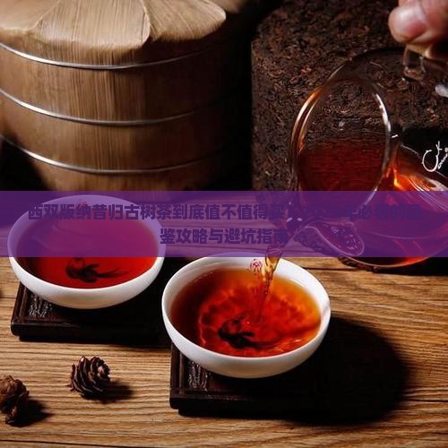 西双版纳昔归古树茶