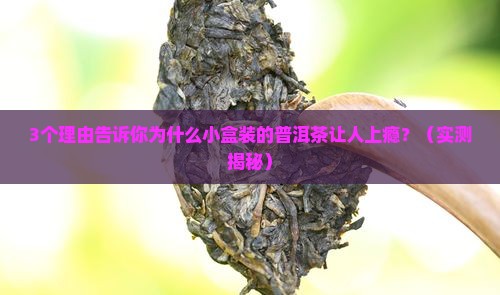 小盒装的普洱茶