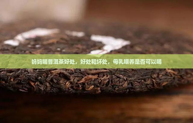 妈妈喝普洱茶好处
