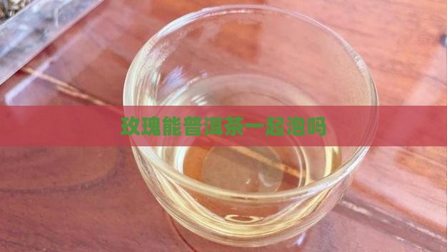 玫瑰能普洱茶一起泡吗