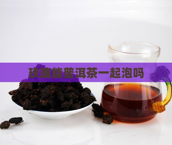 玫瑰能普洱茶一起泡吗
