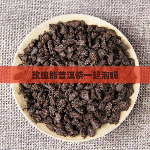 玫瑰能普洱茶一起泡吗