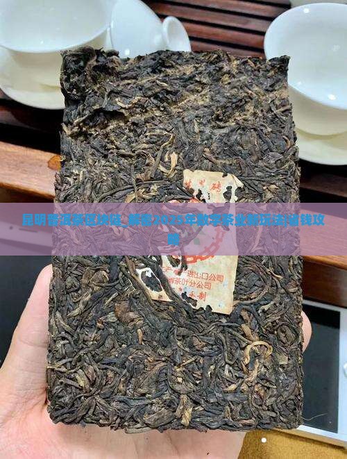 昆明普洱茶区块链