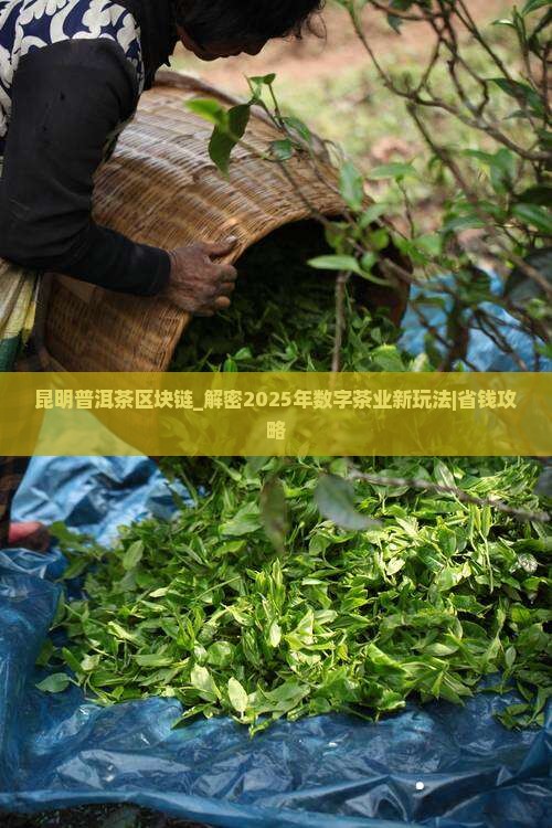 昆明普洱茶区块链