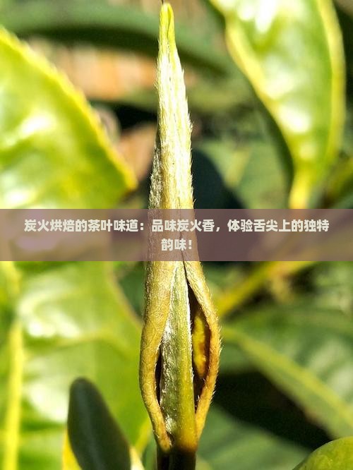 炭火烘焙的茶叶味道