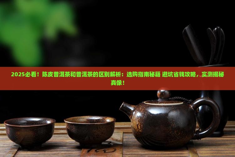 陈皮普洱茶和普洱茶的区别