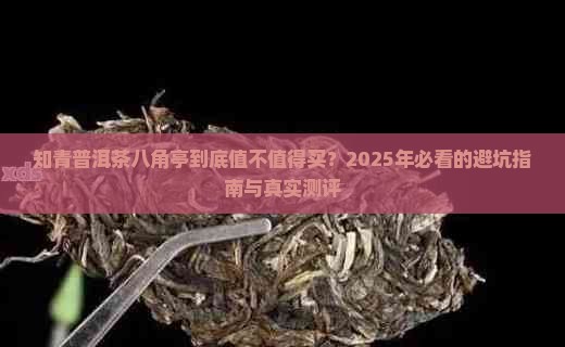 知青普洱茶八角亭怎么样