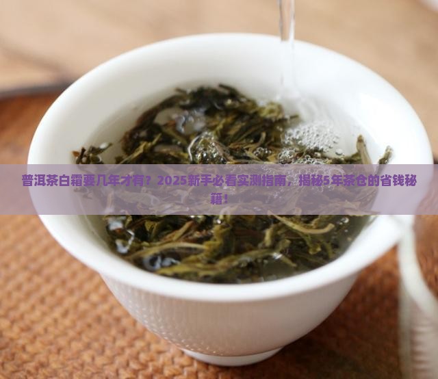 普洱茶白霜要几年的才有