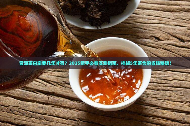 普洱茶白霜要几年的才有