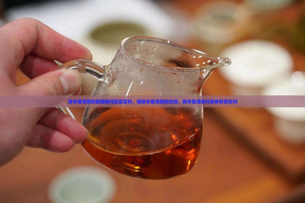 陈年普洱茶抗癌能喝吗百度百科
