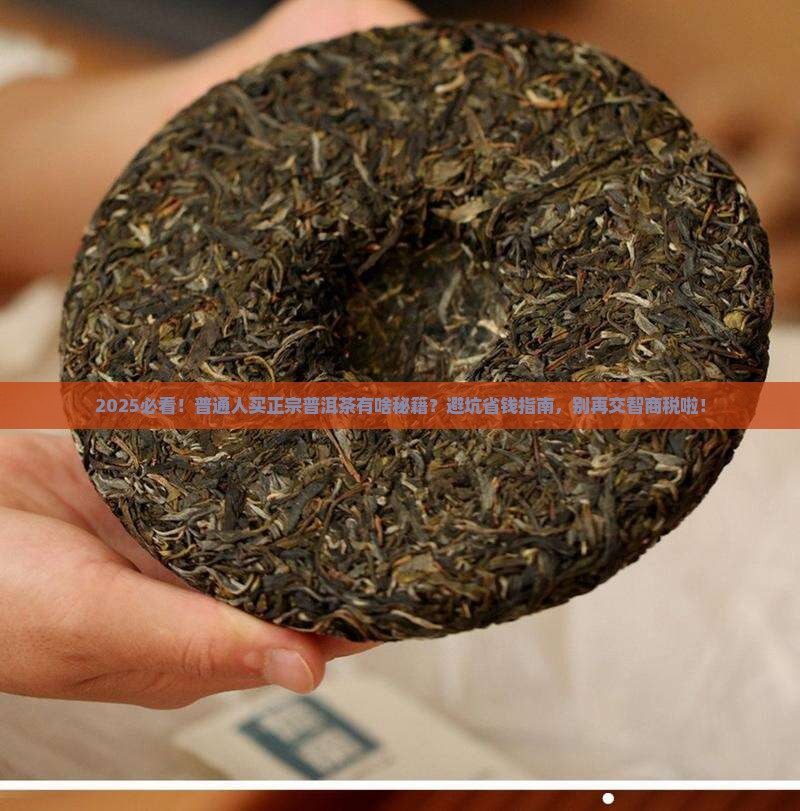 普通人买得到正宗普洱茶吗