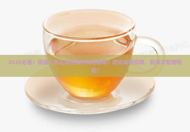 普通人买得到正宗普洱茶吗