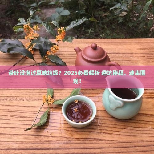 没泡过的茶叶属于哪一类垃圾