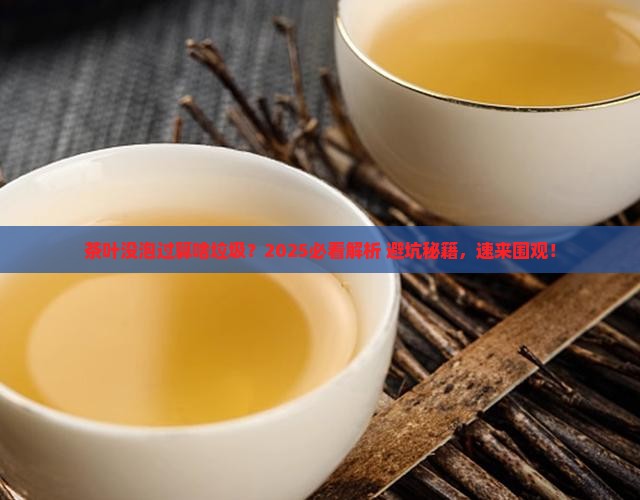 没泡过的茶叶属于哪一类垃圾