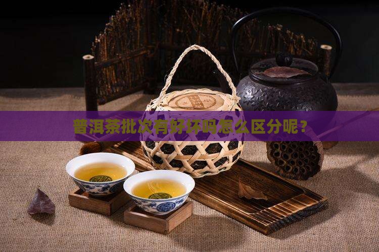 普洱茶批次有好坏吗怎么区分