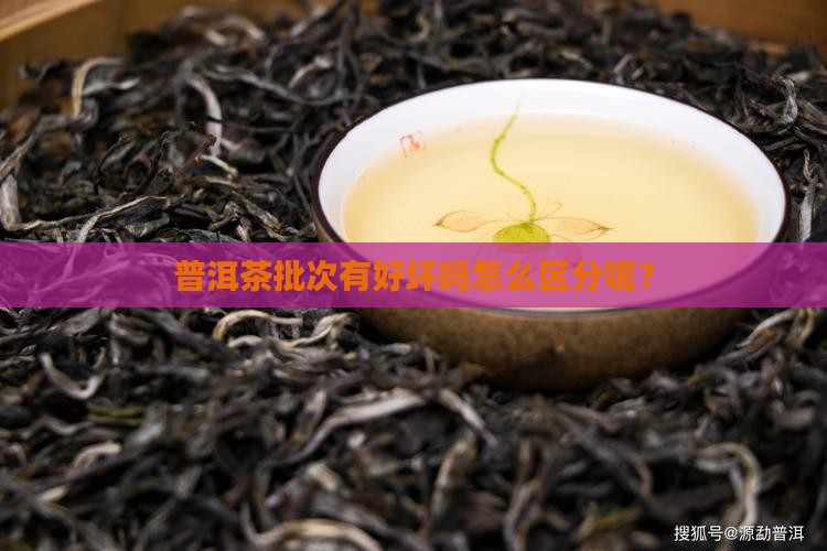 普洱茶批次有好坏吗怎么区分