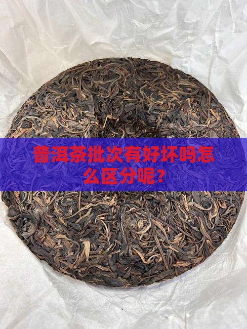 普洱茶批次有好坏吗怎么区分