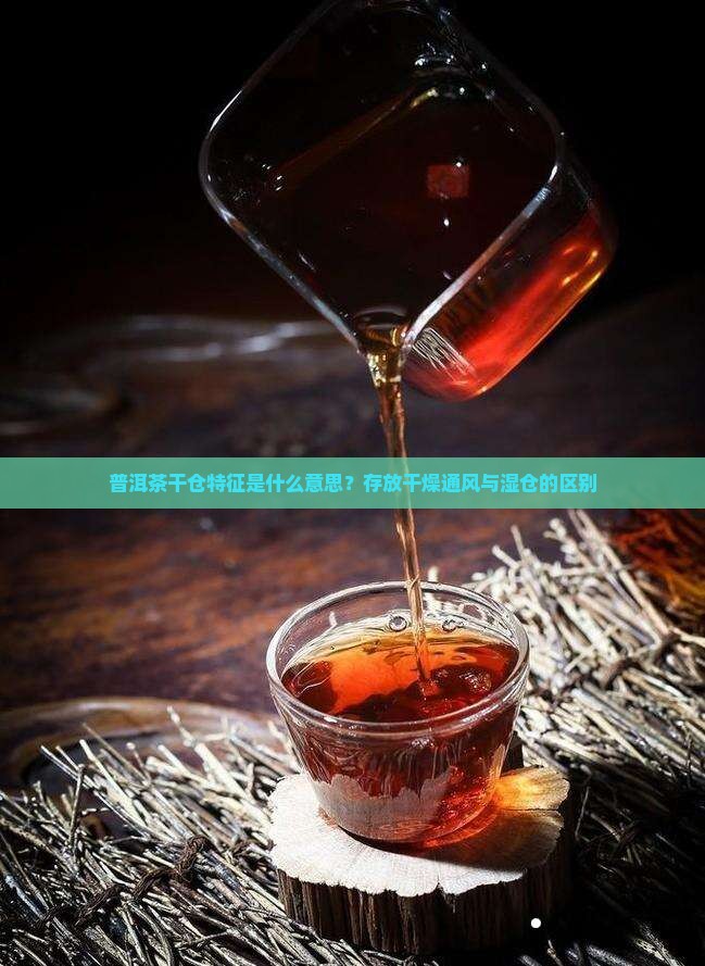 普洱茶干仓特征是什么意思